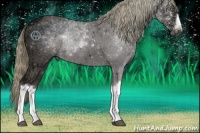 Horse Color:Liver Chestnut Ice Mushroom 