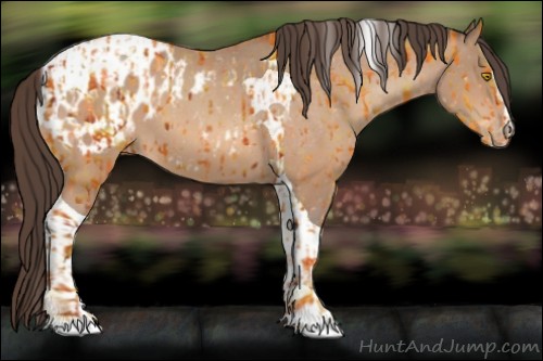 Horse Color:Amber Champagne Sabino Tobiano Blanket and Amber Champagne Sabino Tobiano Blanket