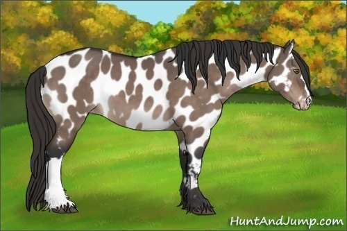 Horse Color:Brown Dun Mushroom Near Leopard