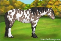 Horse Color:Brown Dun Mushroom Near Leopard 