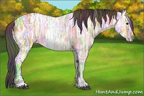 Horse Color:Nacre Buckskin Ice Sabino Rabicano 