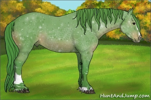 Horse Color:Watercolor Black Sabino