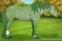 Horse Color:Watercolor Black Sabino 