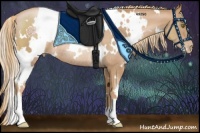 Horse Color:White Spotted Chestnut Pearl Rabicano 