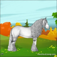 Horse Color:Silver Brown Chinchilla Roan Dun Splash 