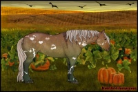 Horse Color:White Spotted Silver Brown Dun Rabicano