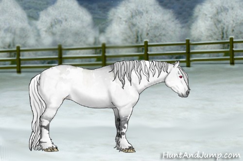 Horse Color:White Spotted Silver Brown Chinchilla Dun
