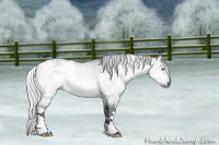Horse Color:White Spotted Silver Brown Chinchilla Dun