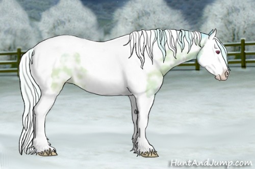Horse Color:Watercolor Silver Brown Chinchilla Ice Splash Tobiano 