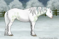 Horse Color:Watercolor Silver Brown Chinchilla Ice Splash Tobiano 