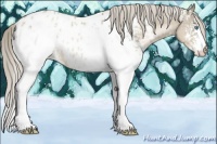 Horse Color:White Spotted Chocolate Palomino Pearl Appaloosa Rabicano