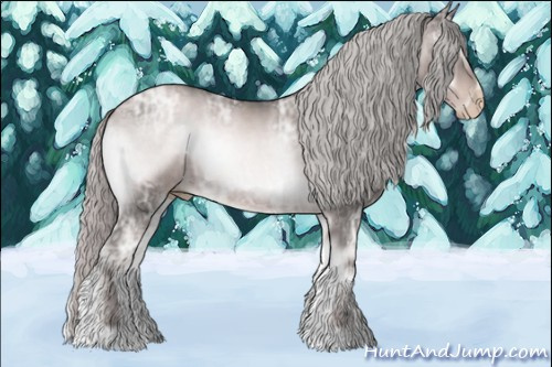 Horse Color:Gray Platinum Silver Buckskin Ice Pearl Onyx 