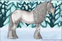 Horse Color:Gray Platinum Silver Buckskin Ice Pearl Onyx