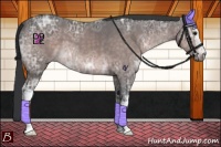 Horse Color:Platinum White Spotted Brown Ice Roan 