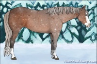 Horse Color:Silver Brown Splash 
