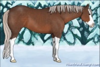 Horse Color:Silver Brown Splash 