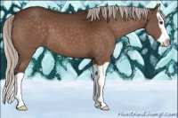 Horse Color:Silver Brown Splash