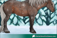 Horse Color:Silver Brown 