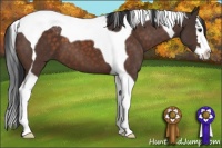 Horse Color:Brown Splash Tobiano