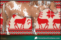 Horse Color:White Spotted Gold Champagne 