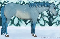 Horse Color:Watercolor Bay 