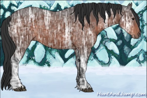 Horse Color:Brown Ice 