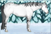 Horse Color:White Spotted Brown Chinchilla Frame Appaloosa Rabicano 