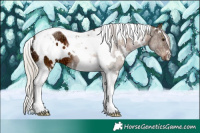 Horse Color:Plaid White Spotted Silver Brown Ice Tobiano