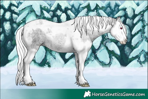 Horse Color:Silver Grullo Chinchilla Ice Pearl Splash Tobiano