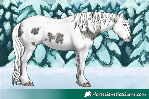 Horse Color:Watercolor Plaid  White Spotted Silver Black Chinchilla Ice Pearl Splash Tobiano 