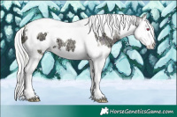 Horse Color:Watercolor Plaid White Spotted Silver Black Chinchilla Ice Pearl Splash Tobiano