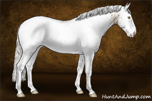 Horse Color:White Spotted Silver Sable Champagne Splash 