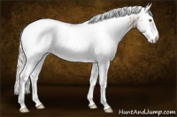 Horse Color:White Spotted Silver Sable Champagne Splash