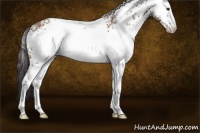 Horse Color:White Spotted Classic Champagne 