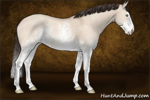 Horse Color:White Spotted Sable Champagne Dun Splash Rabicano 