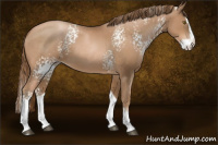 Horse Color:White Spotted Liver Chestnut Pearl Splash 