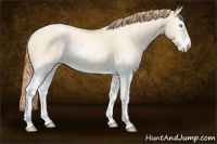 Horse Color:White Spotted Amber Cream Champagne Pearl Splash