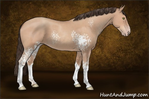 Horse Color:White Spotted Sable Champagne