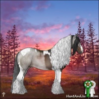 Horse Color:Brown Tobiano 