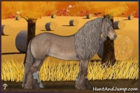 Horse Color:Liver Red Dun Rabicano 