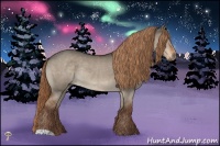 Horse Color:Liver Red Dun Rabicano 