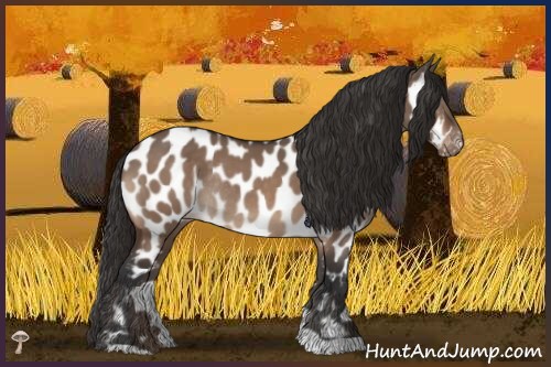Horse Color:Brown Dun Near Leopard Rabicano