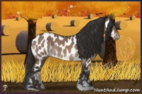Horse Color:Brown Dun Near Leopard Rabicano 