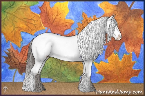 Horse Color:Liver Red Dun Appaloosa