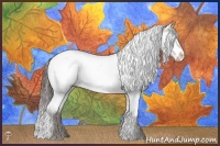 Horse Color:Liver Red Dun Appaloosa 