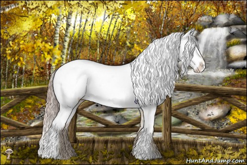 Horse Color:Chocolate Palomino Dun Appaloosa Rabicano 