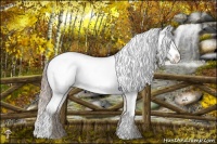 Horse Color:Chocolate Palomino Dun Appaloosa Rabicano 