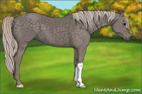 Horse Color:Silver Black 