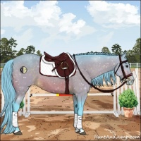 Horse Color:Watercolor Buckskin Snowflake VarnishRabicano 