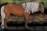 Horse Color:Silver Bay
